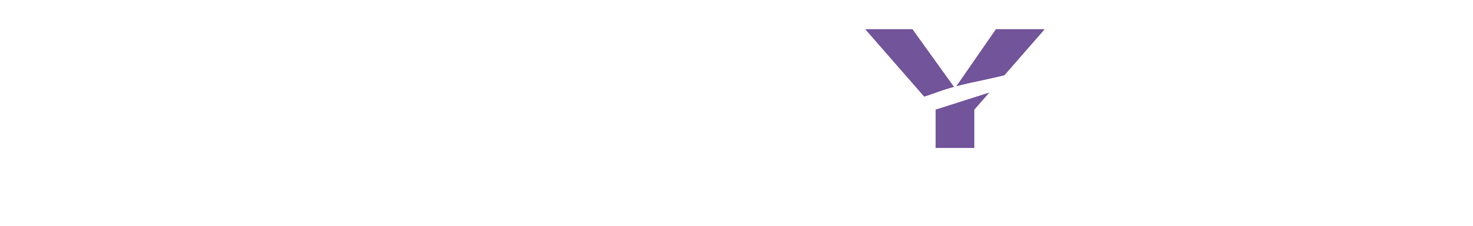 Swieky Digital Agency